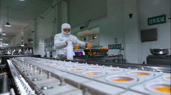 果秀食品 以生物基材料技術研發為引擎，開啟創新轉型新征程，再鑄“新果秀”輝煌