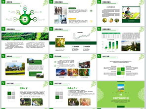 2018互聯網+農副產品市場推廣企業營銷策劃案