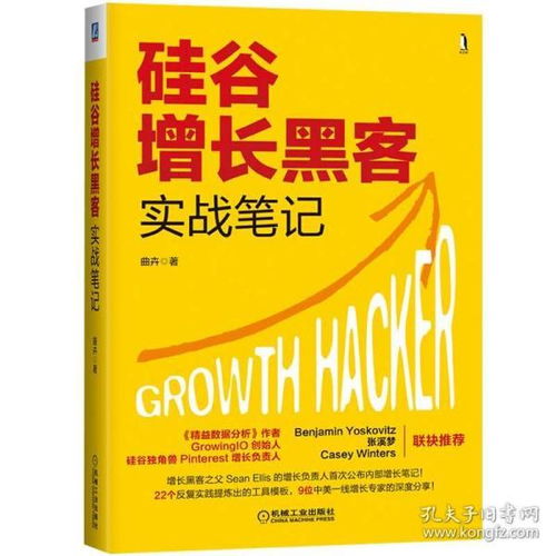 《硅谷增長黑客實戰(zhàn)筆記》 互聯(lián)網(wǎng)時代的增長智慧與實戰(zhàn)指南